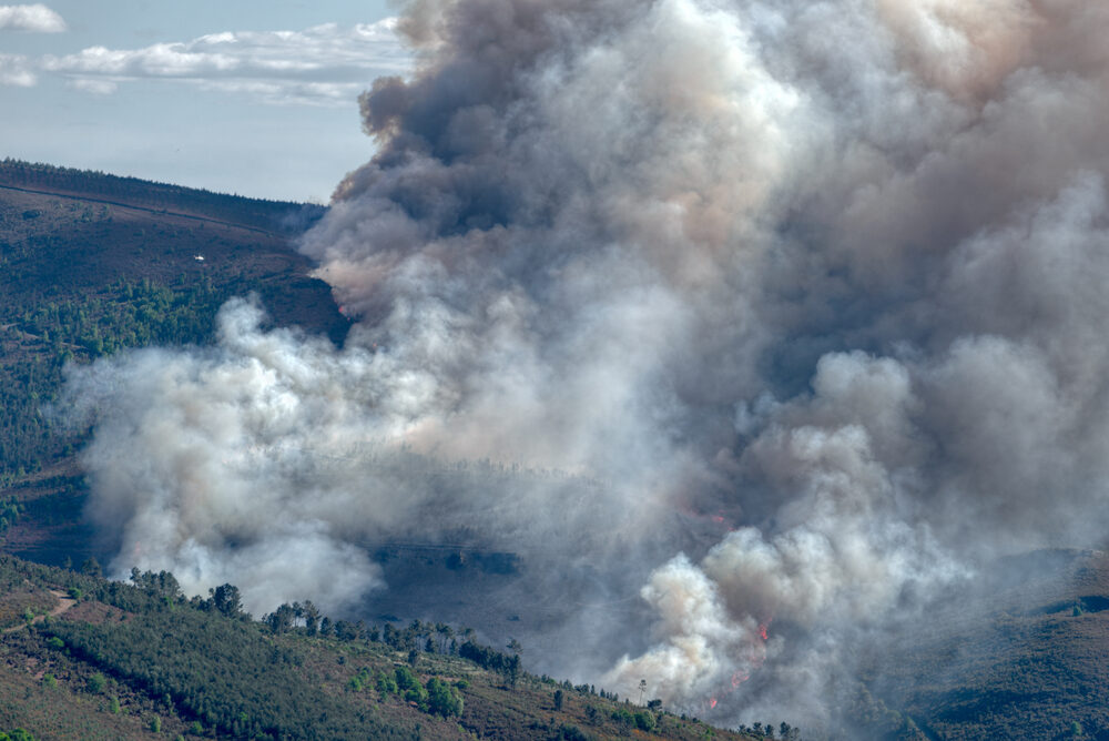 Incendio devastante in Gironda: oltre 20.000 evacuati e 3.100 ettari in fiamme
