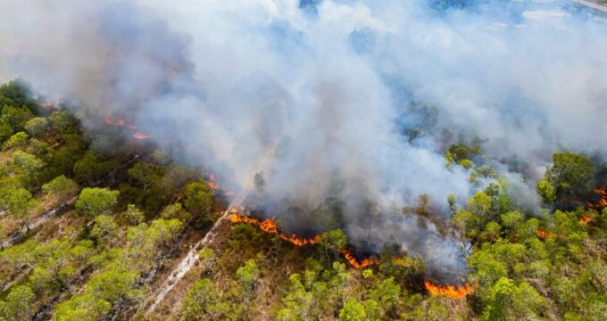 Incendi boschivi in Italia 2026