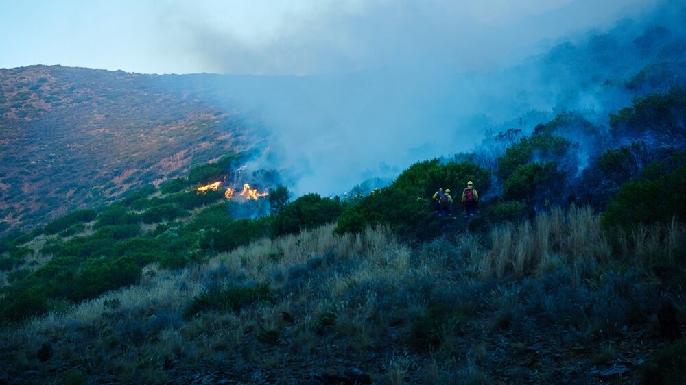 Intervento dei Vigili del Fuoco a Palermo per incendi