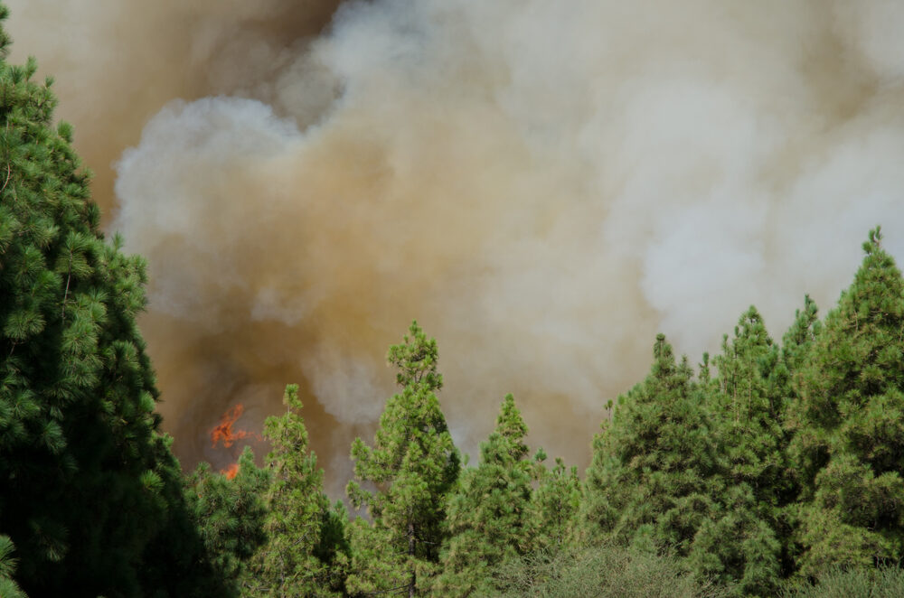 Incendi nella Gironda in Francia