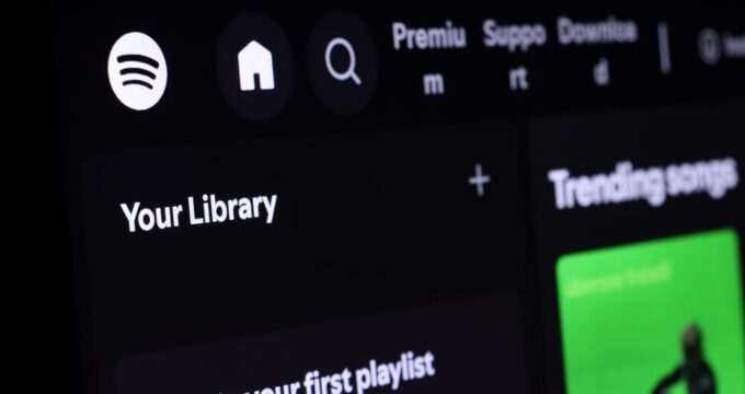 Grafica di Spotify con dati di crescita