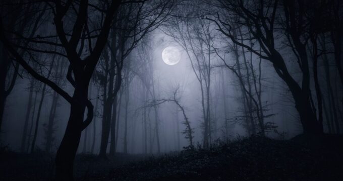 Silent Hill Townfall - Immagine di gioco