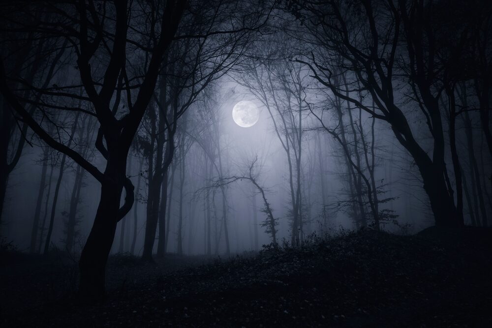 Silent Hill Townfall - Immagine di gioco