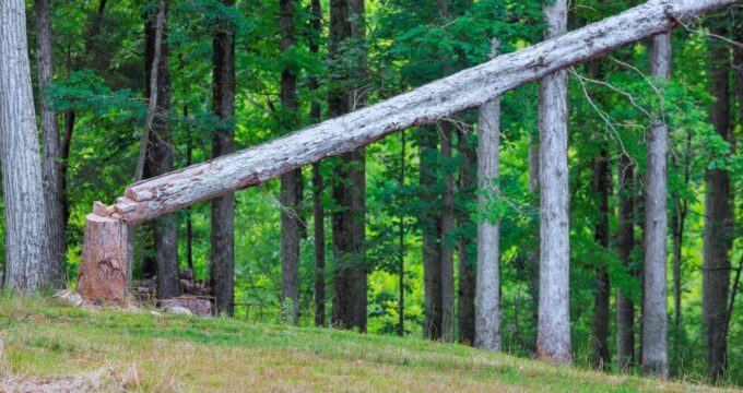 Aumento dei costi produttivi per i pannelli in legno